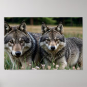 Lijst TV Kunst Poster (Voorkant)