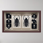 Lijst TV Pharaonic Poster (Voorkant)