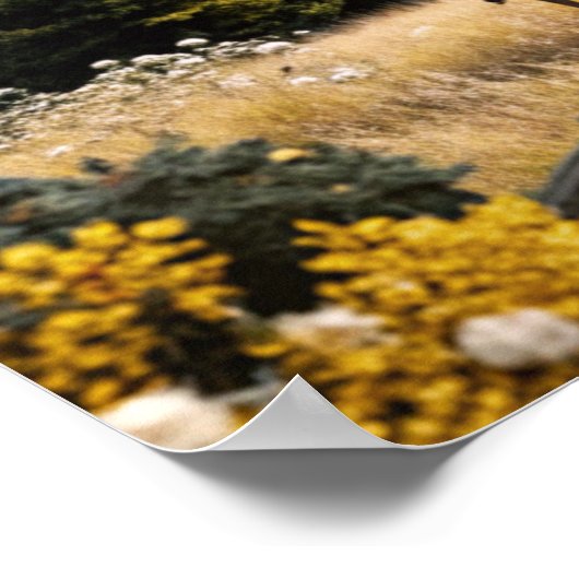 Lijst TV Samsung Poster (Hoek)