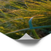 Lijst TV Samsung Poster (Hoek)