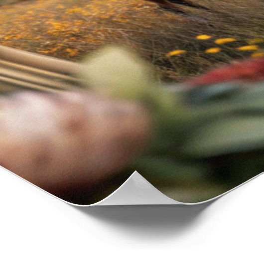 Lijst TV Samsung Poster (Hoek)