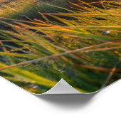 Lijst TV Samsung Poster (Hoek)