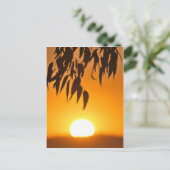 Lijst van de natuur briefkaart (Staand voorkant)