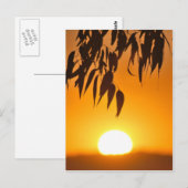 Lijst van de natuur briefkaart (Voorkant / Achterkant)