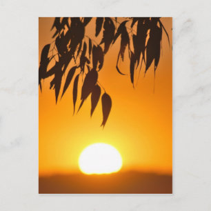 Lijst van de natuur briefkaart