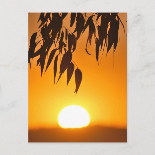 Lijst van de natuur briefkaart (Voorkant)