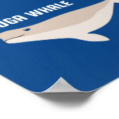 Lijst van grote walvissen, zee grote wezens poster (Hoek)