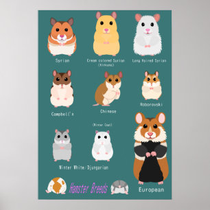 Lijst van hamsterrassen poster