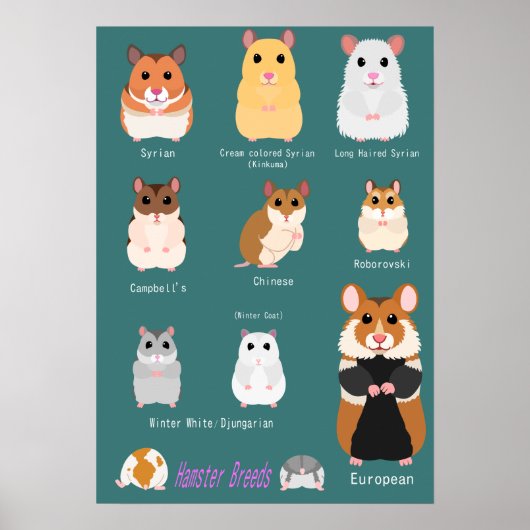 Lijst van hamsterrassen poster (Voorkant)