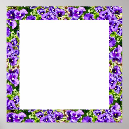 Lijst van het Paarse Afbeelding van Pansies, Poste Poster (Voorkant)