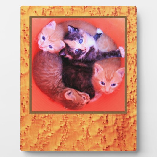 Lijst van het vogelgrieppatroon van het Afbeelding Fotoplaat (Voorkant)