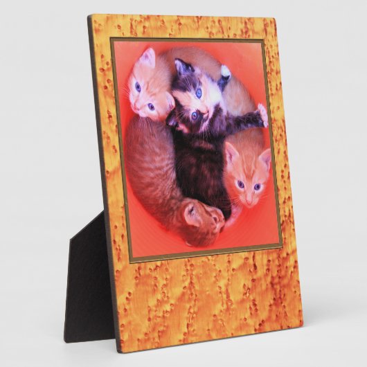 Lijst van het vogelgrieppatroon van het Afbeelding Fotoplaat (Zijkant)