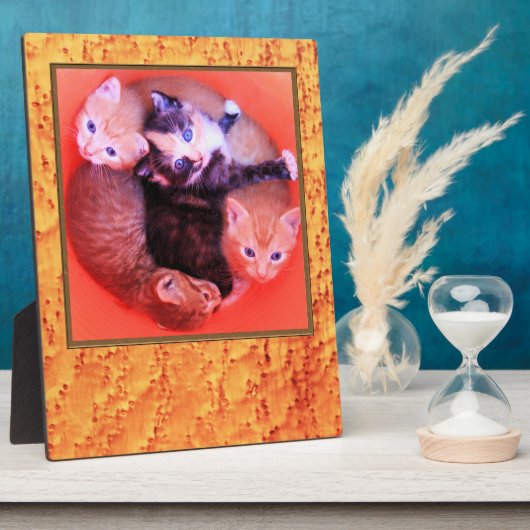 Lijst van het vogelgrieppatroon van het Afbeelding Fotoplaat (Zijkant)