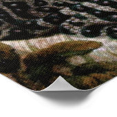  lijst van kikkervissoorten Poster (Hoek)