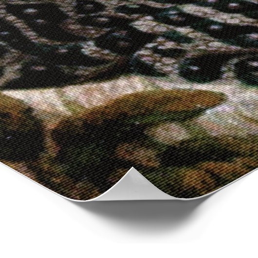  lijst van kikkervissoorten Poster (Hoek)