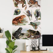  lijst van kikkervissoorten Poster (Thuiskantoor)