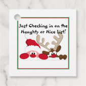 Lijst van Naughty of Nice Bedankjes Labels (Voorkant)