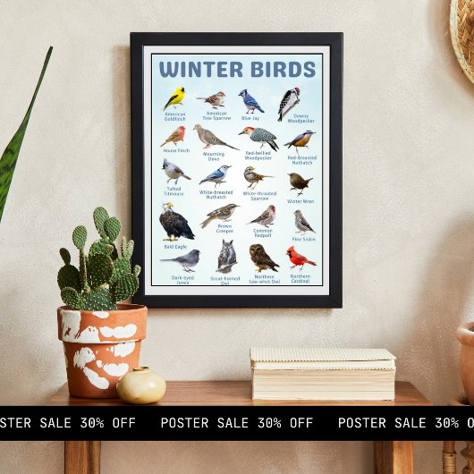 lijst van wintervogels in de VS Poster