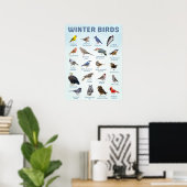 lijst van wintervogels in de VS Poster (Thuiskantoor)