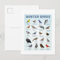 lijst van wintervogels Noordelijke Kardinalen, Bla
