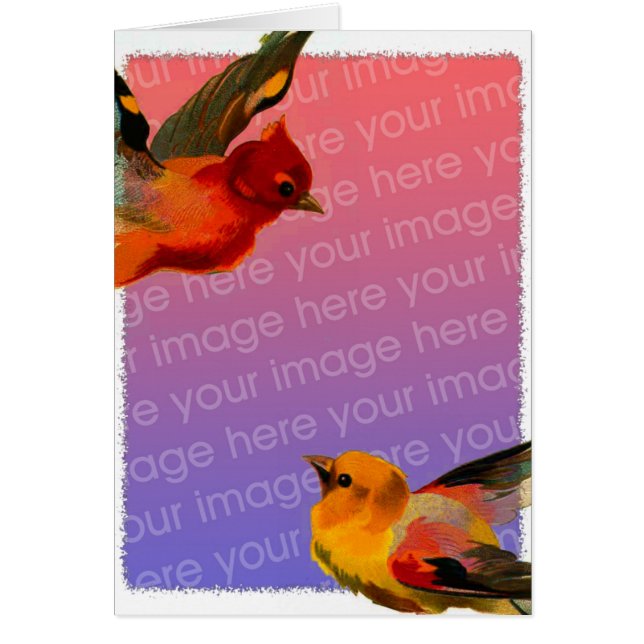  Lijst vogels (Voorkant)