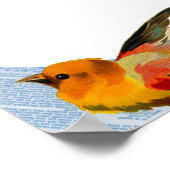 Lijst vogels poster (Hoek)