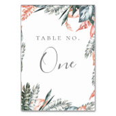 Lijst voor moderne koraaltropen kaart (Achterkant)