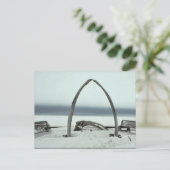 Lijsten van de beenderen van walvisbonen en de  va briefkaart (Staand voorkant)