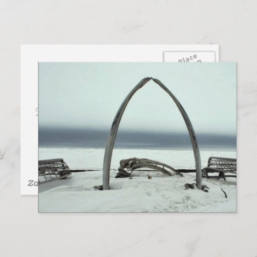 Lijsten van de beenderen van walvisbonen en de  va briefkaart (Voorkant / Achterkant)