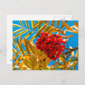 Lijsterbes Briefkaart (Voorkant / Achterkant)