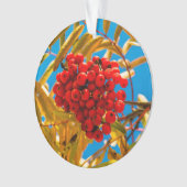 Lijsterbes Ornament (voorkant)