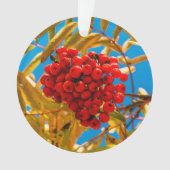Lijsterbes Ornament (voorkant)