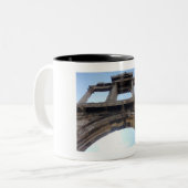 lijsterboog tweekleurige koffiemok (Voorkant links)