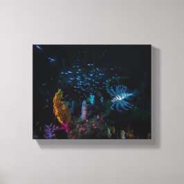 Lijstervissen, de dame van de zachte koraaltuin canvas afdruk