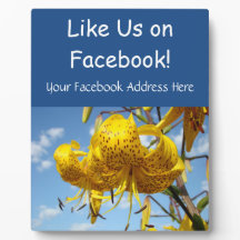 Like Us op Facebook Teller Winkel Service Borden