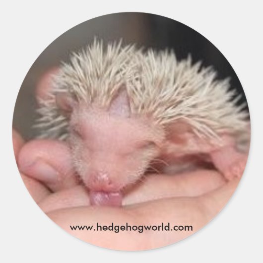 Likken baby sticker (Voorkant)