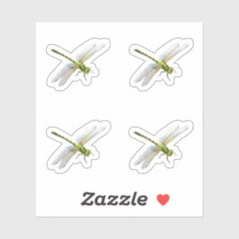 likkerlichten sticker