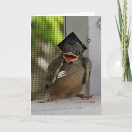 Lil Birdie, Happy Smiling Bird, Afstuderen Feestdagen Kaart (Voorkant)