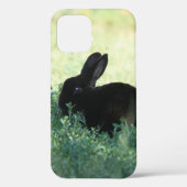 Lil Black Bunny Case-Mate iPhone Case (Achterkant)