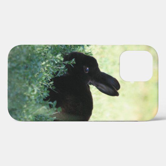 Lil Black Bunny Case-Mate iPhone Case (Achterkant (horizontaal))