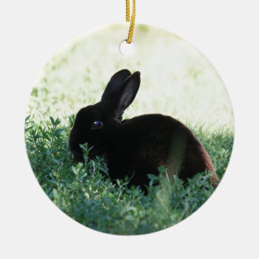 Lil Black Bunny Keramisch Ornament (Voorkant)