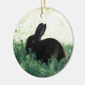 Lil Black Bunny Keramisch Ornament (Links)