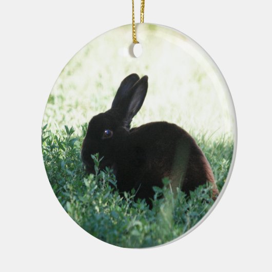 Lil Black Bunny Keramisch Ornament (Links)