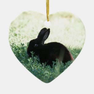 Lil Black Bunny Keramisch Ornament
