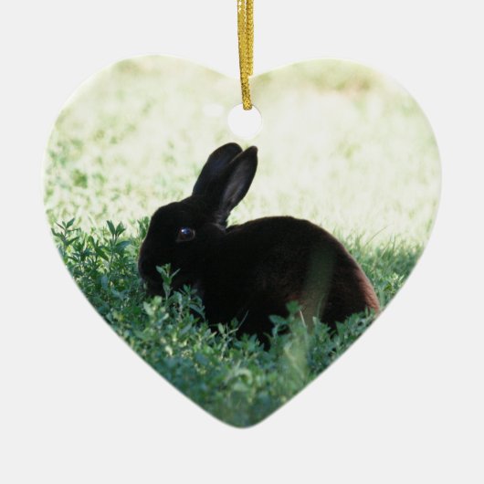 Lil Black Bunny Keramisch Ornament (Voorkant)