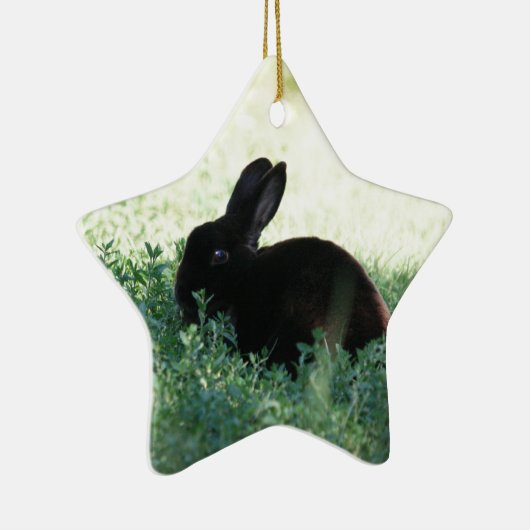 Lil Black Bunny Keramisch Ornament (Rechts)