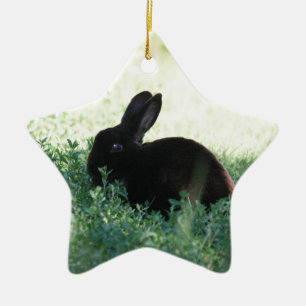 Lil Black Bunny Keramisch Ornament