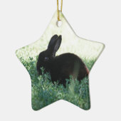Lil Black Bunny Keramisch Ornament (Links)