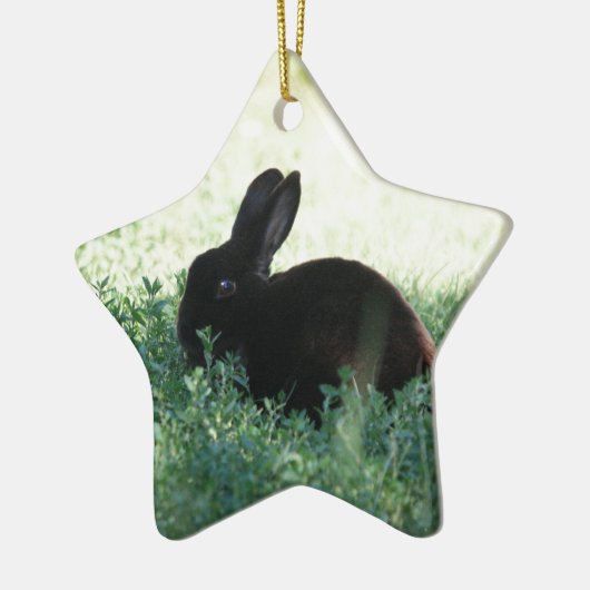 Lil Black Bunny Keramisch Ornament (Links)
