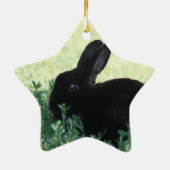 Lil Black Bunny Keramisch Ornament (Achterkant)